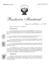 Vista preliminar de documento Resolución Ministerial N° 970-2019/MINSA