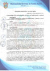Vista preliminar de documento Ordenanza Municipal N° 012-2022/MDPN