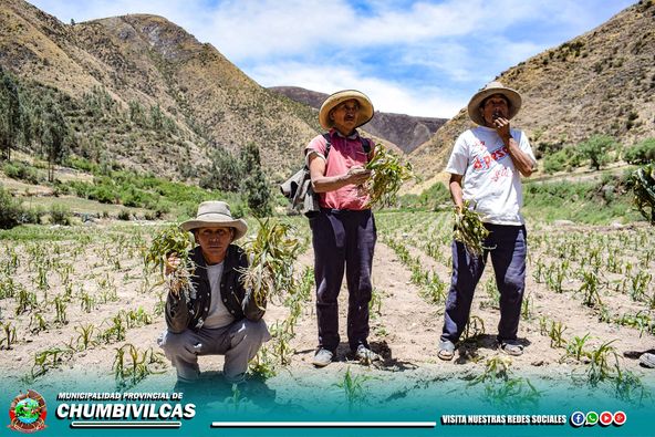 EL 01 Y 02 DE DICIEMBRE DEL PRESENTE AÑO, SE REGISTRÓ FUERTE DESCENSO DE TEMPERATURA EN EL DISTRITO DE SANTO TOMÁS, PROVINCIA DE CHUMBIVILCAS