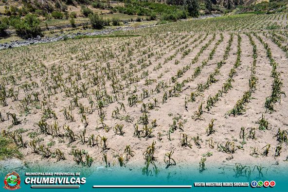 EL 01 Y 02 DE DICIEMBRE DEL PRESENTE AÑO, SE REGISTRÓ FUERTE DESCENSO DE TEMPERATURA EN EL DISTRITO DE SANTO TOMÁS, PROVINCIA DE CHUMBIVILCAS