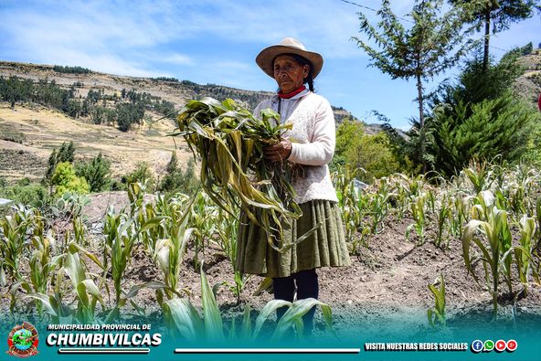 EL 01 Y 02 DE DICIEMBRE DEL PRESENTE AÑO, SE REGISTRÓ FUERTE DESCENSO DE TEMPERATURA EN EL DISTRITO DE SANTO TOMÁS, PROVINCIA DE CHUMBIVILCAS