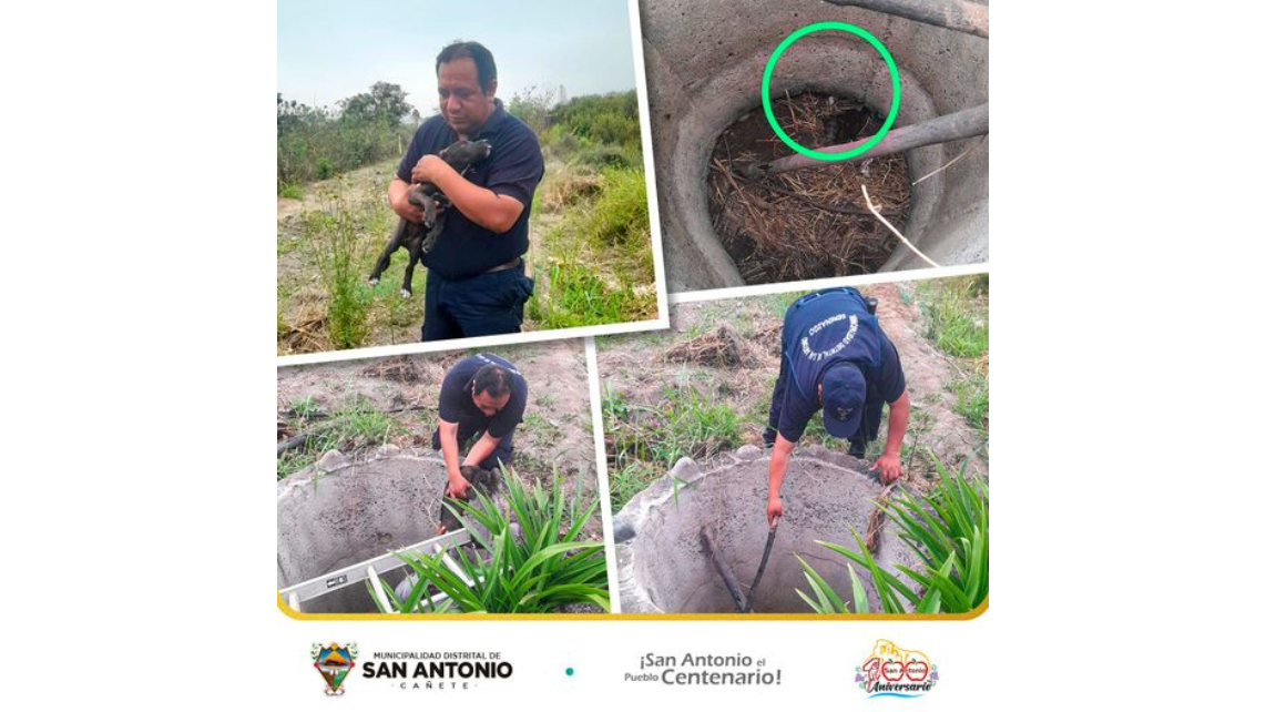 Agentes de Serenazgo salvaron a un cachorro de dos meses que había caído a un pozo de dos metros de profundidad.