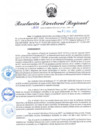 Vista preliminar de documento RDR N° 1039-2022