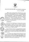 Vista preliminar de documento RD_055_2015.pdf
