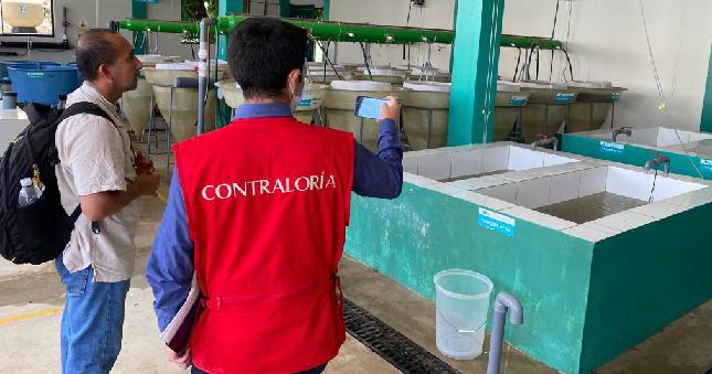 Contraloría alerta deficiencias en proyecto acuícola valorizado en S/ 13.1 millones