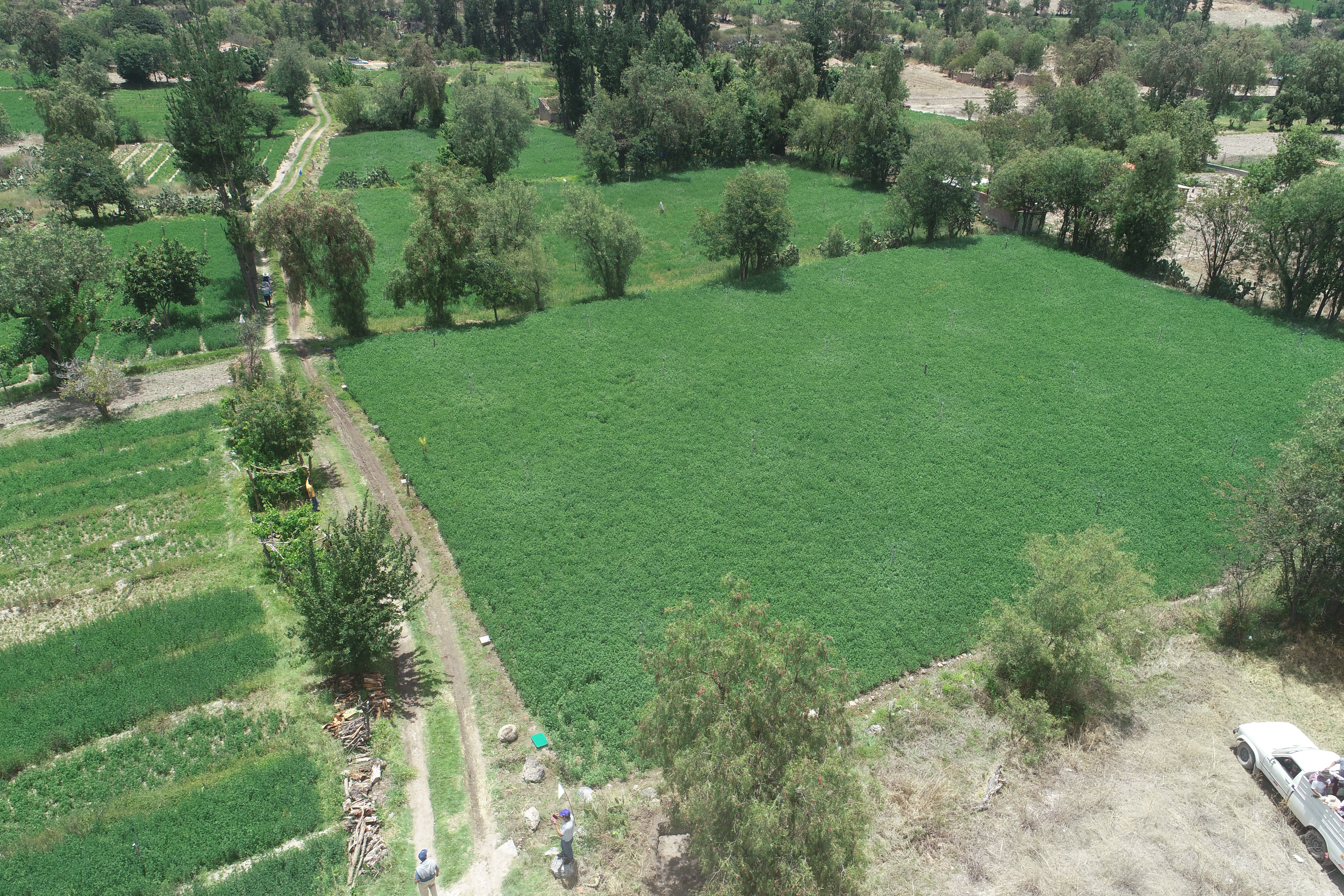 Inauguración del sistema de riego por aspersión Los Tres Valles de Tambillo.