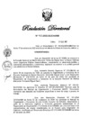 Vista preliminar de documento RD Nº 462-2022.pdf