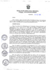 Vista preliminar de documento RDR_161_2015_ORADM.pdf