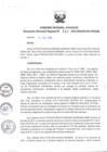 Vista preliminar de documento RDR_142_2015_ORADM.pdf