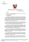 Vista preliminar de documento Resolución N° 100-2022-SUNARP-OA