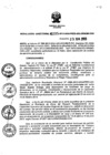Vista preliminar de documento RD_295_2013.pdf