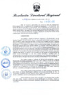 Vista preliminar de documento RDR N° 1040-2022