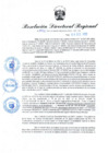 Vista preliminar de documento RDR N° 1041-2022