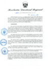 Vista preliminar de documento RDR N° 1048-2022