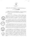 Vista preliminar de documento RD_271_2013.pdf