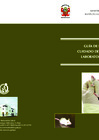 Vista preliminar de documento Guía de manejo y cuidado de animales de laboratorio: Ratón