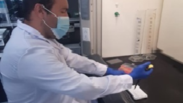 en pleno trabajo de laboratorio