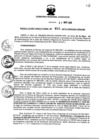Vista preliminar de documento RDR_055_2015_ORADM.pdf