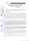 Vista preliminar de documento RDR 056-2020.pdf