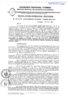 Vista preliminar de documento R.G.R. N291-2022GRT-GRDE-GR_05Dic2022