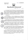 Vista preliminar de documento RESOLUCIÓN DIRECTORAL N° 321-2022.pdf