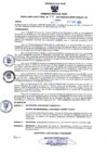 Vista preliminar de documento Resolución Directoral N° 246-2021 Gobierno Regional Piura-HNSLM-DG