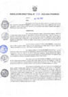 Vista preliminar de documento R.D N° 235-2022-GRA-PRIDER_DG.pdf