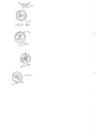 Vista preliminar de documento CARGO DE ORDENANZA MUNICIPAL.pdf