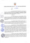 Vista preliminar de documento R.D N° 309-2022-GRA-PRIDER_DG.pdf