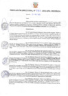 Vista preliminar de documento R.D N° 369-2022-GRA-PRIDER_DG.pdf