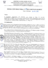 Vista preliminar de documento concurso publico para cubrir plazas vacantes profesionales y tecnicos.pdf