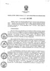 Vista preliminar de documento RDR_111_2013_ORH.pdf