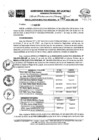 Vista preliminar de documento RER0342-2022
