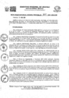Vista preliminar de documento RGGR0489-2022