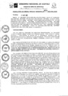 Vista preliminar de documento RGGR0460-2022