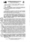 Vista preliminar de documento RGGR0384-2022