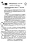 Vista preliminar de documento RGGR0330-2022