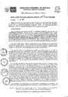 Vista preliminar de documento RGGR0276-2022