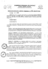 Vista preliminar de documento RGGR0271-2022