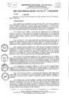 Vista preliminar de documento RGGR0177-2022