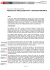 Vista preliminar de documento Resolución de Dirección Ejecutiva