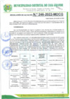 Vista preliminar de documento RA246_2022.pdf