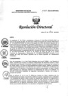 Vista preliminar de documento RD N° 323-2022-DG-INMP/MINSA