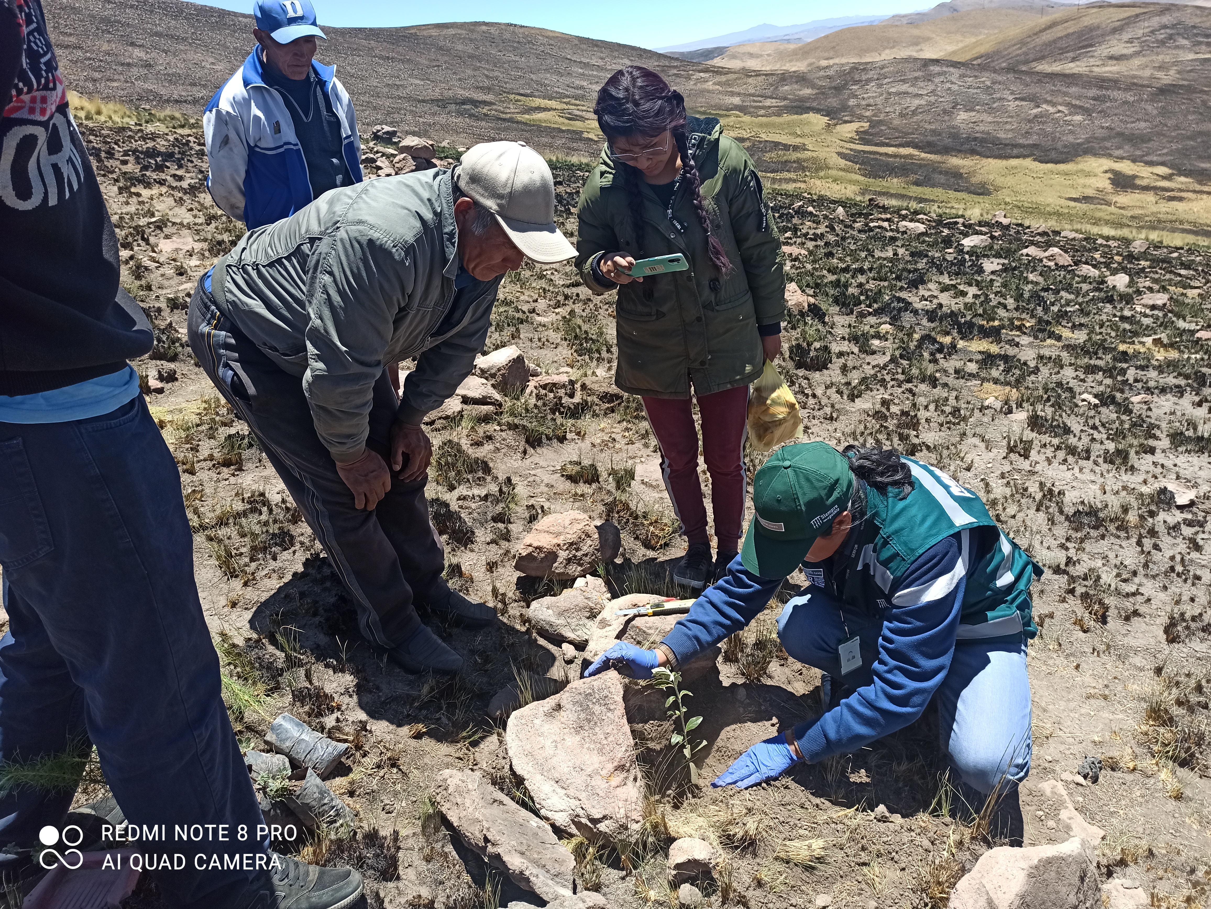 Puno 1