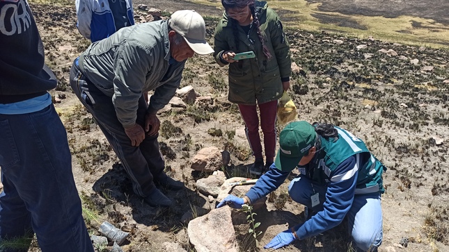 Puno 1