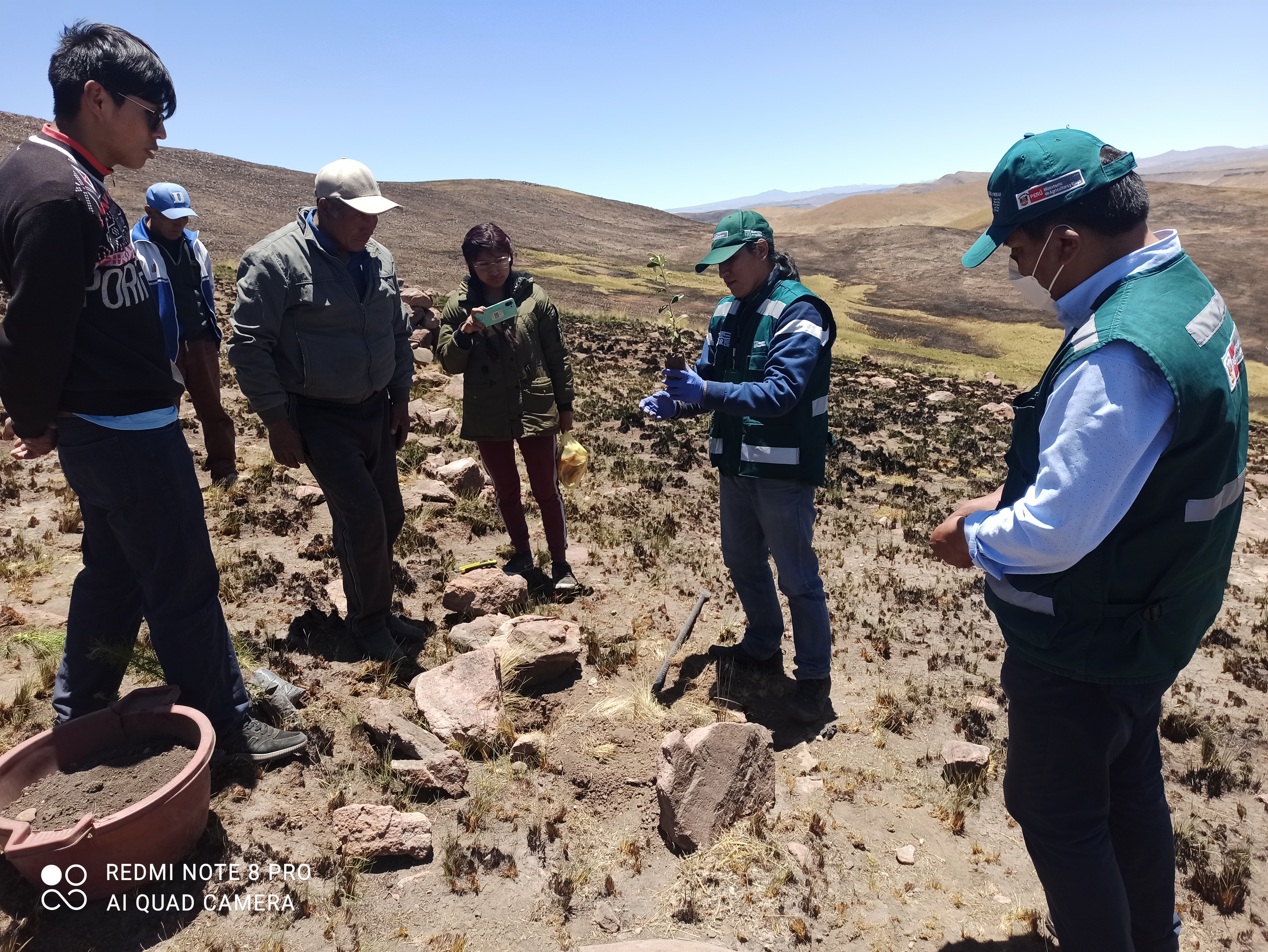 Puno 3