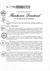 Vista preliminar de documento RD-455-2022