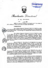 Vista preliminar de documento RD  153