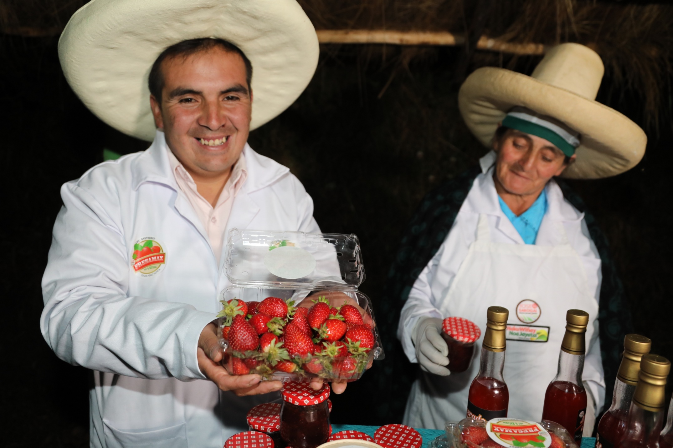 Foto negocio de cultivo de fresas