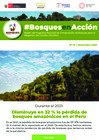 Vista preliminar de documento Boletin_BosquesEnAccion12.pdf